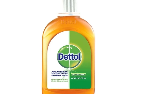 Household Dettol Liquid Antiseptic 1 ~item/2023/3/27/dettolantiseptic245ml